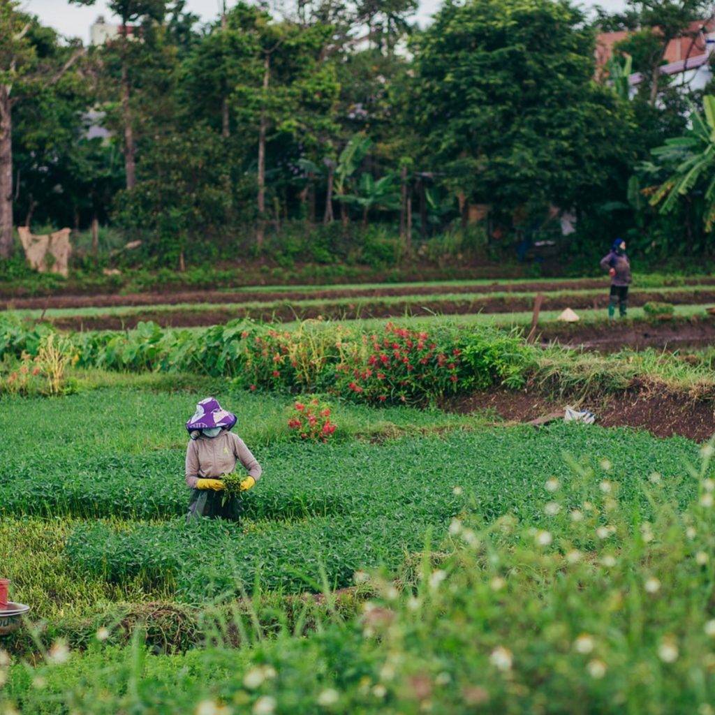 Agriculture bio